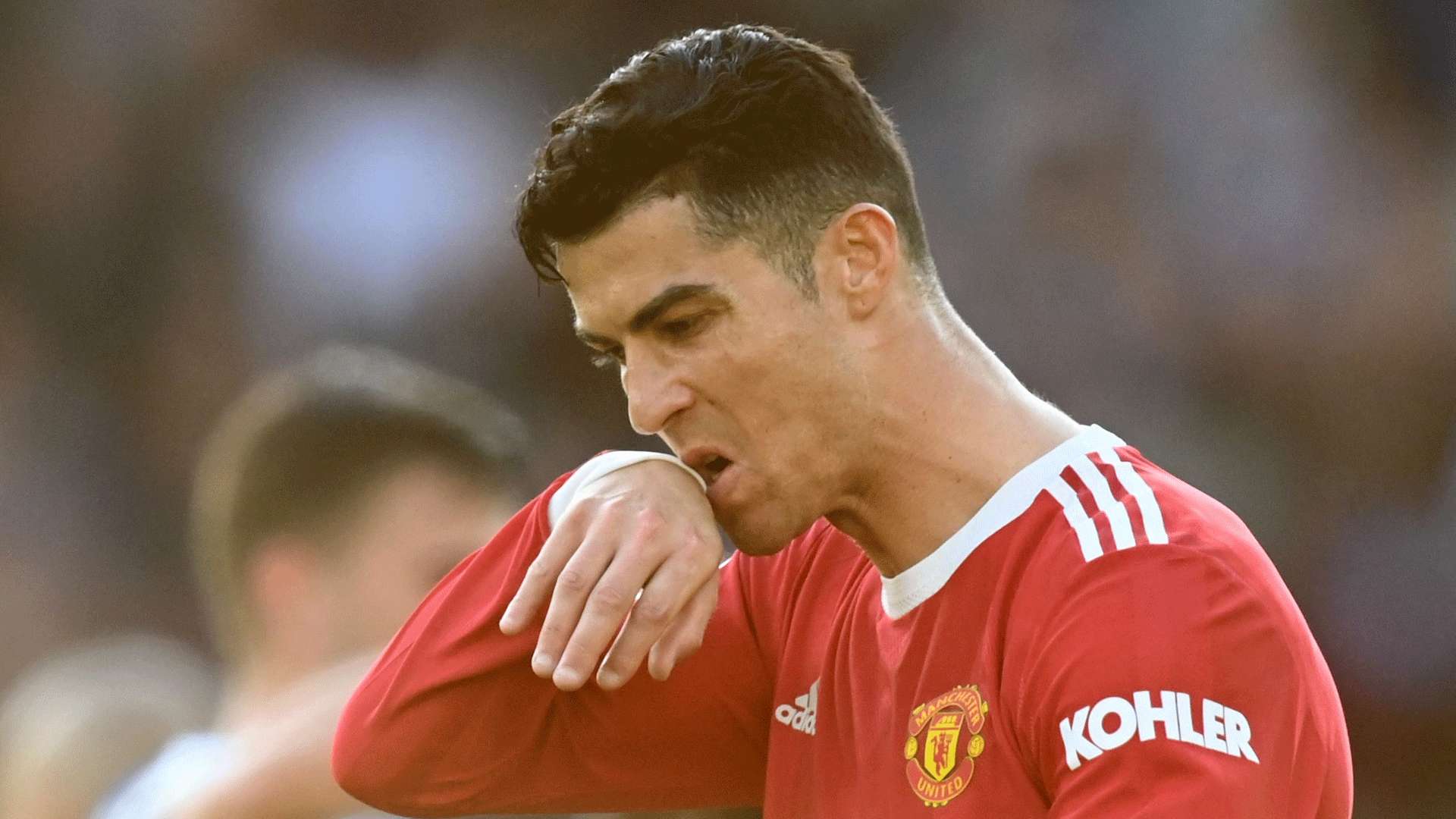 奠定了皇家 奠定了皇家