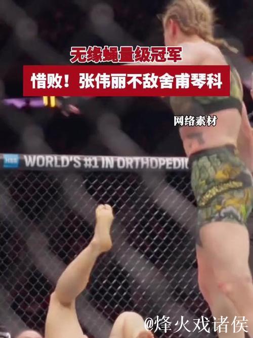 张伟丽不敌舍甫琴科 无缘UFC蝇量级冠军头衔 张伟丽不敌舍甫琴科 无缘UFC蝇量级冠军头衔